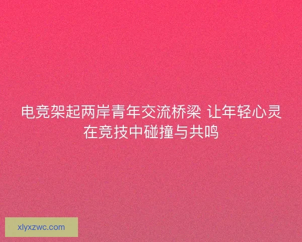 电竞架起两岸青年交流桥梁 让年轻心灵在竞技中碰撞与共鸣